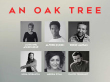 An Oak Tree An Oak Tree