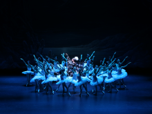 Swan Lake - State Ballet Of Georgia Swan Lake - State Ballet Of Georgia