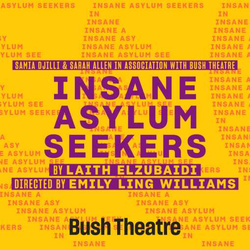 Insane Asylum Seekers
