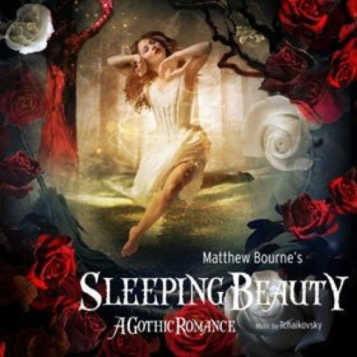 Sleeping Beauty Sleeping Beauty